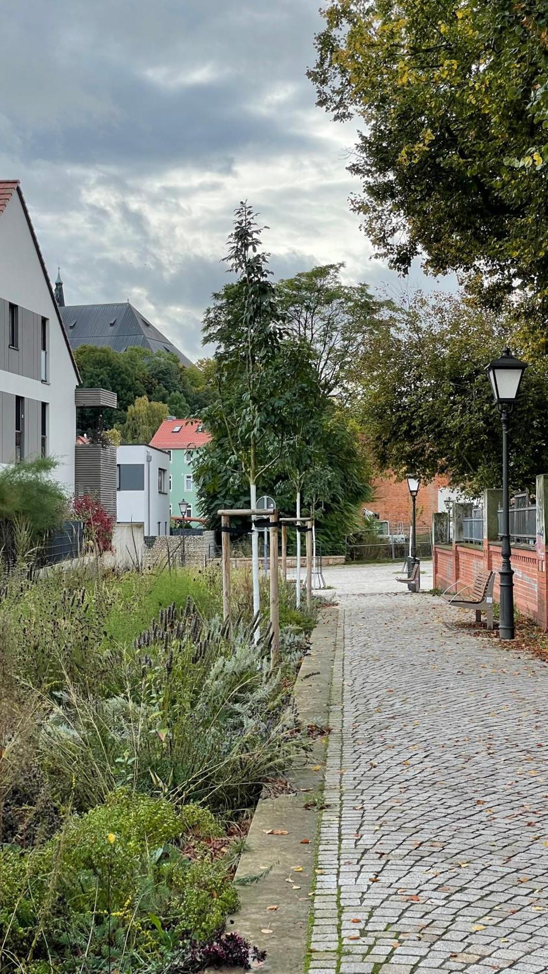 Neu! Oasis - Fewo Am Harz, Hochwertig Kernsaniert, 83 Qm, Eg Nordhausen Exterior photo