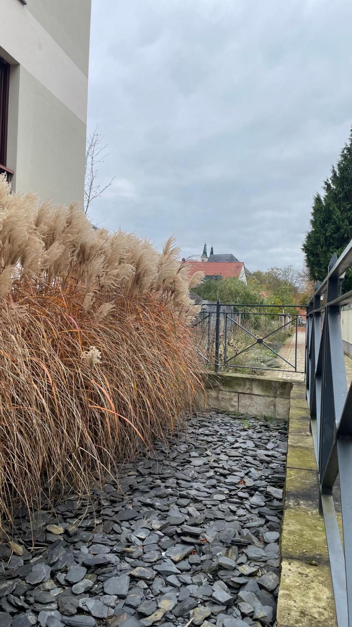 Neu! Oasis - Fewo Am Harz, Hochwertig Kernsaniert, 83 Qm, Eg Nordhausen Exterior photo